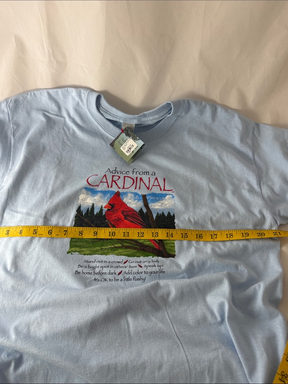 Advice from a Cardinal Graphic Tee - Light Blue - Picture 6 of 8